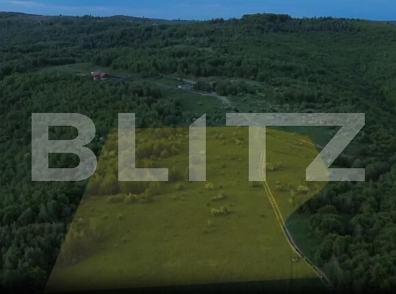 Teren de vânzare Salicea - 206910TV | BLITZ Cluj-Napoca | Poza2