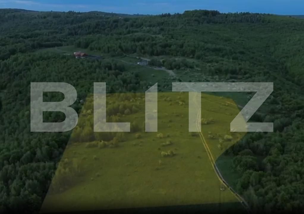 Teren de vânzare Salicea - 206910TV | BLITZ Cluj-Napoca | Poza2
