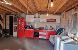 Casa cu 2 corpuri si anexe, 49 mp, zona Boldut 