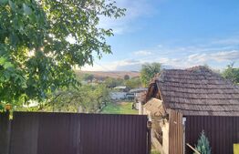 Casa cu 2 corpuri si anexe, 49 mp, zona Boldut 