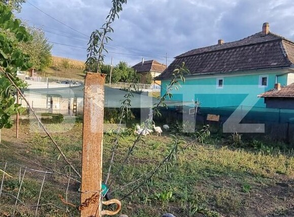 Casa de vânzare 2 camere Boldut - 206920CV | BLITZ Cluj-Napoca | Poza22