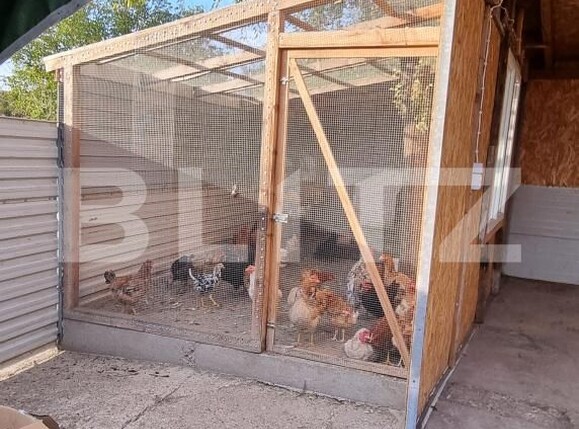 Casa de vânzare 2 camere Boldut - 206920CV | BLITZ Cluj-Napoca | Poza18