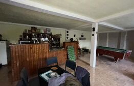 PROPRIETATE DEOSEBITĂ ÎN COPLEAN – 342 MP CASĂ + 1,68 HA TEREN 