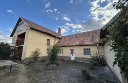 PROPRIETATE DEOSEBITĂ ÎN COPLEAN – 342 MP CASĂ + 1,68 HA TEREN 