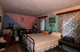 Casa individuala, 342 mp, 1.68 ha teren, zona Coplean