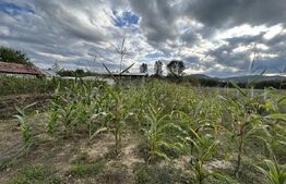 PROPRIETATE DEOSEBITĂ ÎN COPLEAN – 342 MP CASĂ + 1,68 HA TEREN 
