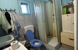 PROPRIETATE DEOSEBITĂ ÎN COPLEAN – 342 MP CASĂ + 1,68 HA TEREN 