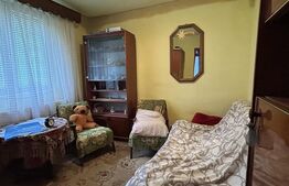 Casa individuala, 342 mp, 1.68 ha teren, zona Coplean