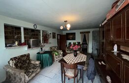 PROPRIETATE DEOSEBITĂ ÎN COPLEAN – 342 MP CASĂ + 1,68 HA TEREN 