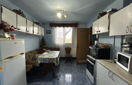 PROPRIETATE DEOSEBITĂ ÎN COPLEAN – 342 MP CASĂ + 1,68 HA TEREN 