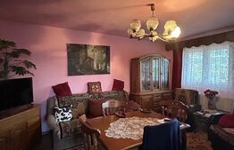 PROPRIETATE DEOSEBITĂ ÎN COPLEAN – 342 MP CASĂ + 1,68 HA TEREN 