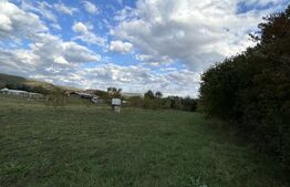 PROPRIETATE DEOSEBITĂ ÎN COPLEAN – 342 MP CASĂ + 1,68 HA TEREN 
