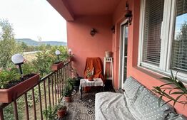 PROPRIETATE DEOSEBITĂ ÎN COPLEAN – 342 MP CASĂ + 1,68 HA TEREN 