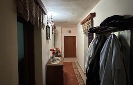 PROPRIETATE DEOSEBITĂ ÎN COPLEAN – 342 MP CASĂ + 1,68 HA TEREN 