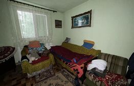 Casa individuala, 342 mp, 1.68 ha teren, zona Coplean