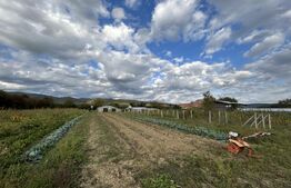 PROPRIETATE DEOSEBITĂ ÎN COPLEAN – 342 MP CASĂ + 1,68 HA TEREN 