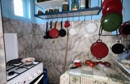 PROPRIETATE DEOSEBITĂ ÎN COPLEAN – 342 MP CASĂ + 1,68 HA TEREN 
