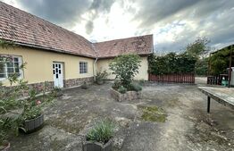 PROPRIETATE DEOSEBITĂ ÎN COPLEAN – 342 MP CASĂ + 1,68 HA TEREN 
