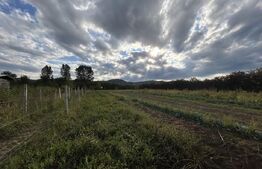 PROPRIETATE DEOSEBITĂ ÎN COPLEAN – 342 MP CASĂ + 1,68 HA TEREN 