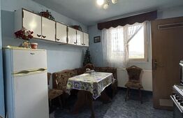 Casa individuala, 342 mp, 1.68 ha teren, zona Coplean