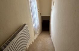 PROPRIETATE DEOSEBITĂ ÎN COPLEAN – 342 MP CASĂ + 1,68 HA TEREN 