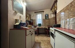 PROPRIETATE DEOSEBITĂ ÎN COPLEAN – 342 MP CASĂ + 1,68 HA TEREN 