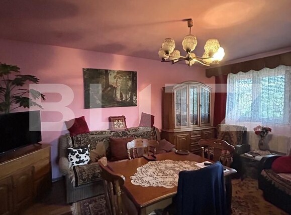 Casa de vânzare 15 camere Coplean - 206935CV | BLITZ Cluj-Napoca | Poza11