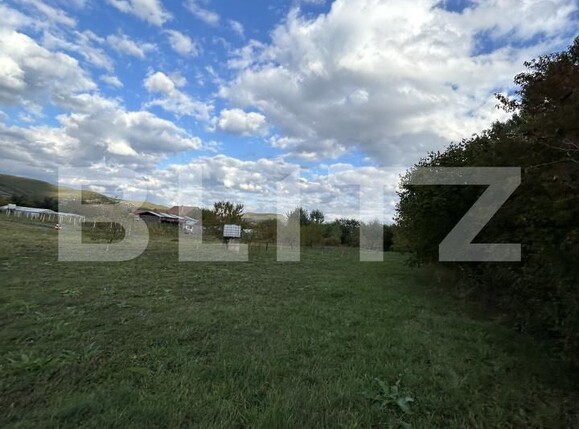 Casa de vânzare 15 camere Coplean - 206935CV | BLITZ Cluj-Napoca | Poza25