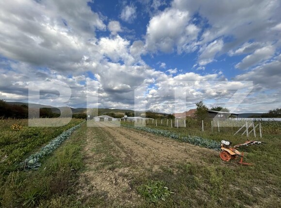 Casa de vânzare 15 camere Coplean - 206935CV | BLITZ Cluj-Napoca | Poza24