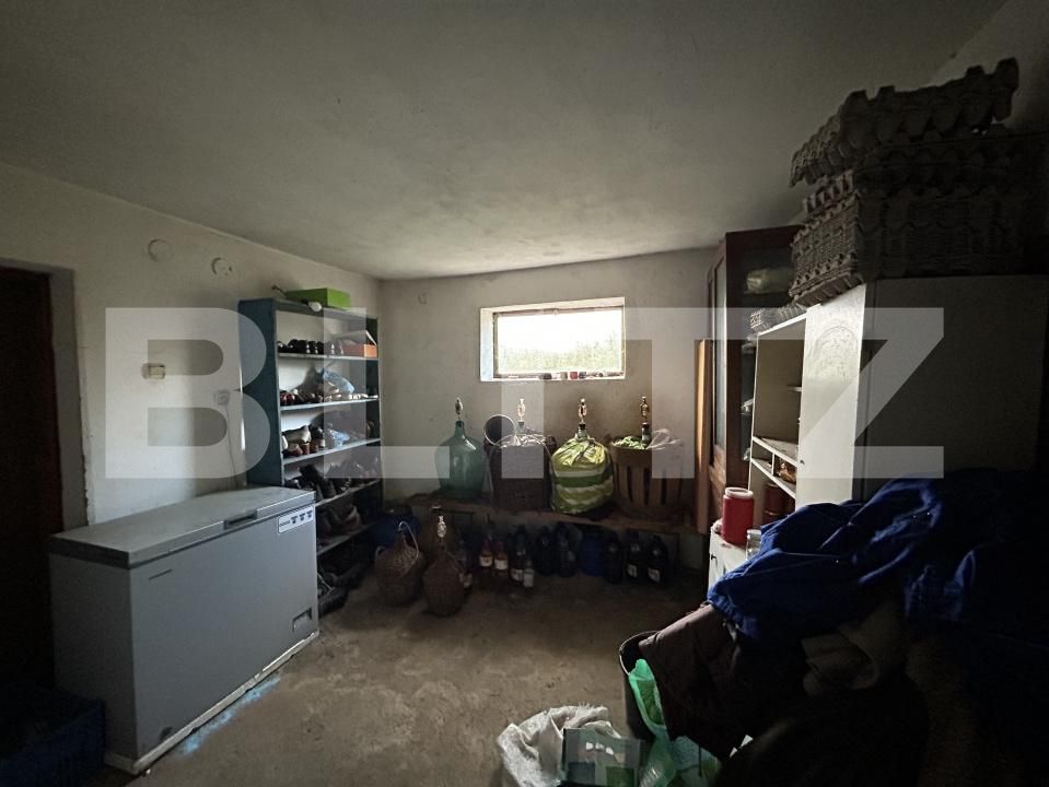 Casa de vânzare 15 camere Coplean - 206935CV | BLITZ Cluj-Napoca | Poza20