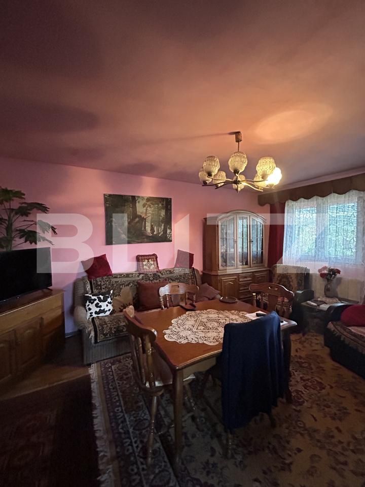 Casa de vânzare 15 camere Coplean - 206935CV | BLITZ Cluj-Napoca | Poza11