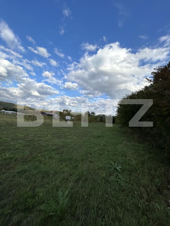 Casa de vânzare 15 camere Coplean - 206935CV | BLITZ Cluj-Napoca | Poza25