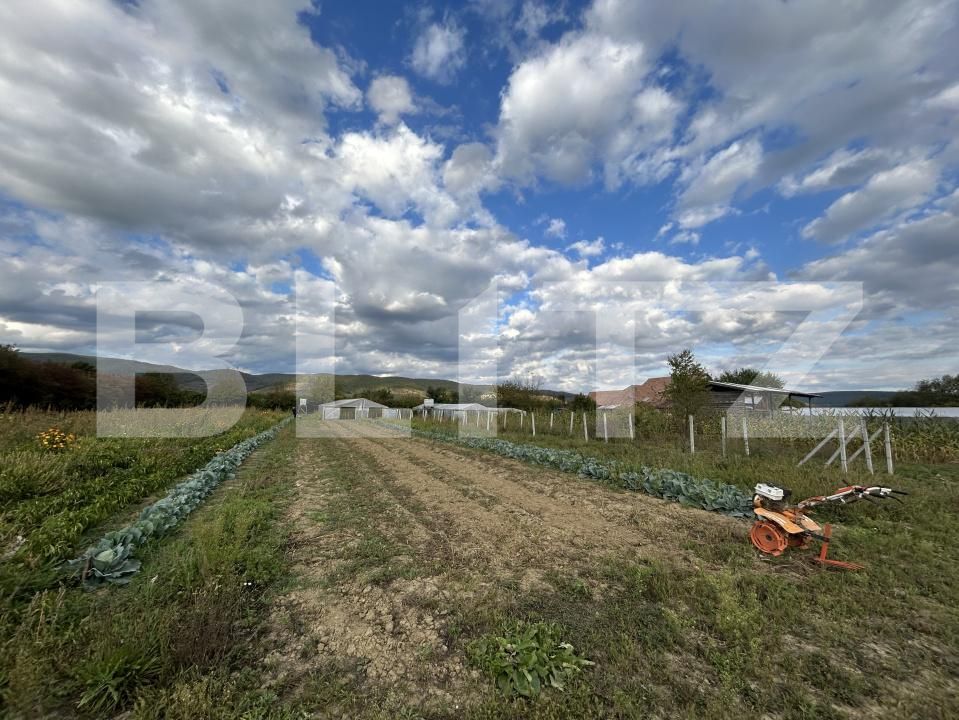Casa de vânzare 15 camere Coplean - 206935CV | BLITZ Cluj-Napoca | Poza24