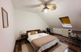 Cladire cu 12 camere - Regim Hotelier / Apart Hotel - in zona Piata Unirii