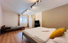 Cladire cu 12 camere - Regim Hotelier / Apart Hotel - in zona Piata Unirii