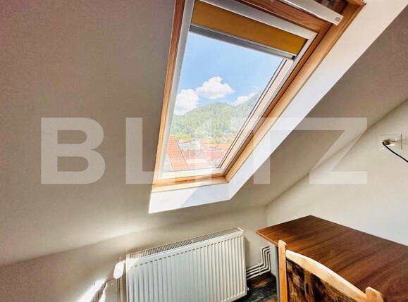 Spațiu comercial de vânzare Schei - 206957SVC | BLITZ Brașov | Poza17