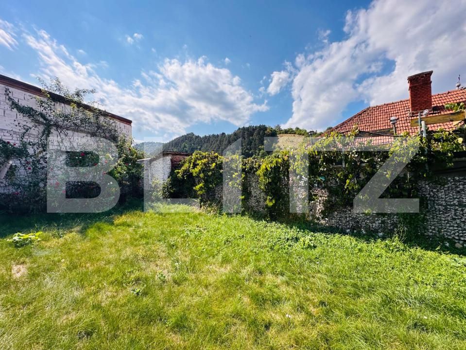Spațiu comercial de vânzare Schei - 206957SVC | BLITZ Brașov | Poza3
