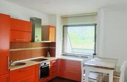 Apartament 2 camere cu terasă de 30 mp și parcare | Răcădău