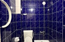 Garsoniera de inchiriat, 24 mp, zona Marasti 