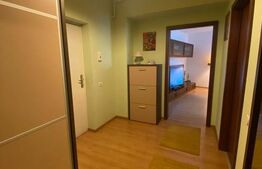 Apartament 2 camere, etaj 3 , decomandat, 55mp, Carpatilor 