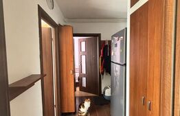 Apartament 3 camere, etaj intermediar, Oltet, Tractorul