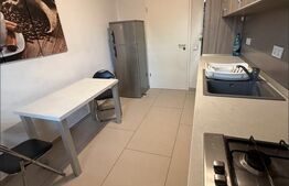 Apartament 2 camere | 82 mp | Balcon 24 mp | Parcare | Cosmopolit