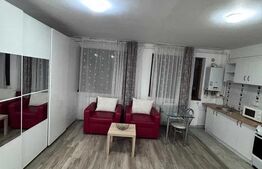  Garsoniera de inchriat, 35 mp, zona Sub Cetate 
