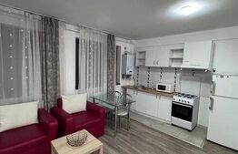  Garsoniera de inchriat, 35 mp, zona Sub Cetate 