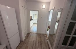 Apartament 1 cameră, Recent renovat, 42 mp, zona USAMV – Kaufland