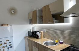 Apartament cu 2 camere, pe două niveluri – zona Gării