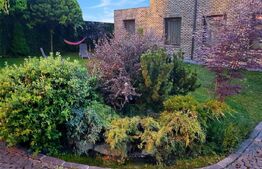 Casa individuala, 310 mp, 900 mp teren, zona Faget 