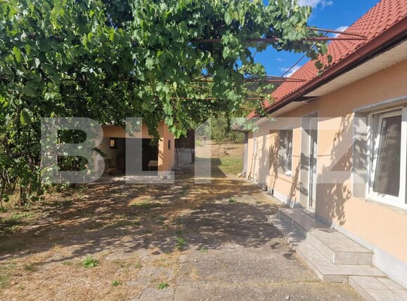 Casa de vânzare 2 camere Căianu Mic - 207156CV | BLITZ Cluj-Napoca | Poza2