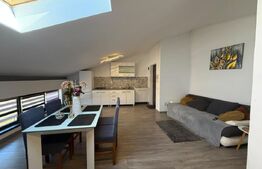 Garsonieră de închiriat Manastur - 207226AI | BLITZ Cluj-Napoca | Poza1