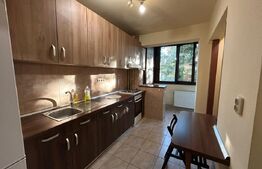 Apartament cu 3 camere, pet friendly, Gheorgheni, Zona Lacramioarelor